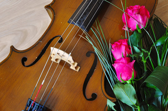 Music background with cello and roses flowers