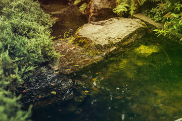landscape picture of a japanese garden with a small watercourse