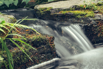 A little waterfall that flowing from the green rain-forest jungle to the pond in Japan, as abstract natural background.