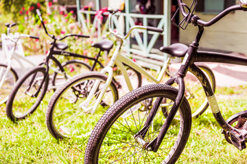 Row of retro, vintage bicycles, bikes outside of house, home, building in summer grass for rent with sunlight, sunny day