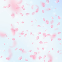 7449447 Sakura petals falling down. Romantic pink flowers