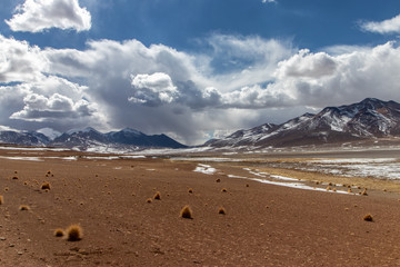 Desert and mountains in the Alitplano Plateau, Bolivia