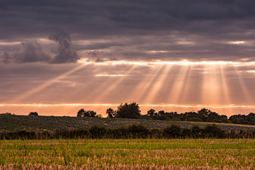 Sun Beams