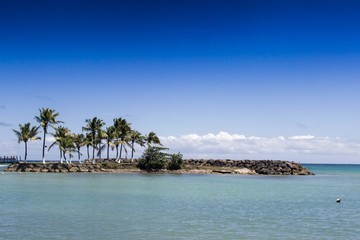 Palmier, ciel et digue tropicale