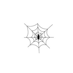Spider web isolated on white background