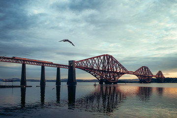 The moving train on the Forth Bridge and seagull, Scotland, United Kingdom