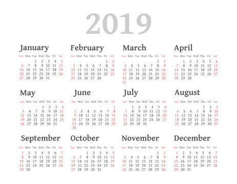 Vector pocket 2019 year calendar