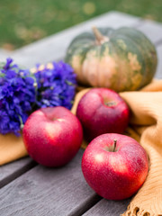 Thanksgiving background: Apples, pumpkins and Blue cornflower flowers on wooden background. Copy space for text.