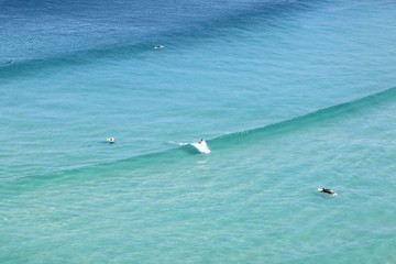 Surfing