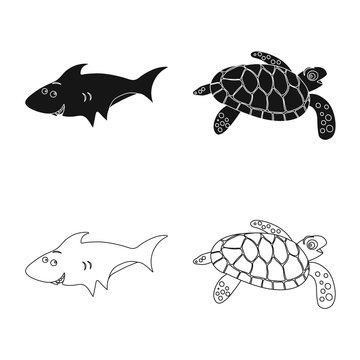 Isolated object of sea and animal sign. Set of sea and marine stock vector illustration.