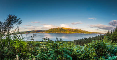 Panorama Overlooking Carlingford Lough