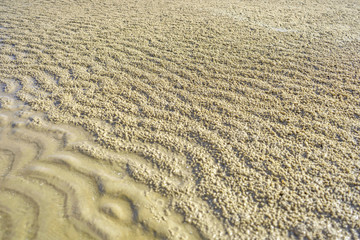Fototapeta na wymiar Sandy ocean beach for background texture abstract