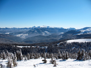 Snow covered mountains peaks with hills covered fir-tree forest. Winter landscape of the Carpathians in Ukraine.