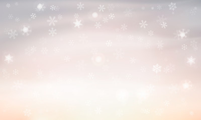 light background with snowflakes. Vector. winter background