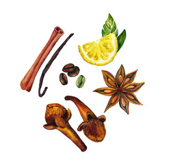 Watercolor illustration: Cinnamon, coffee beans, vanilla, slice of lemon, cloves, anise on white background