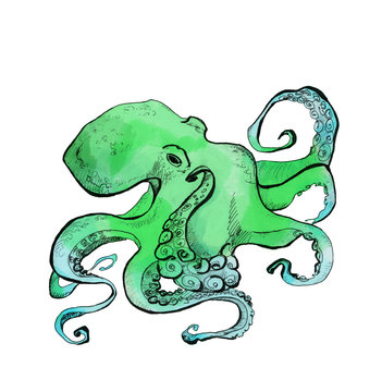 Pen drawing. Green and blue octopus, big tentacles