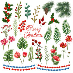 Huge set of Christmas elements including Christmas tree branches, berries, plants, leafs and flowers