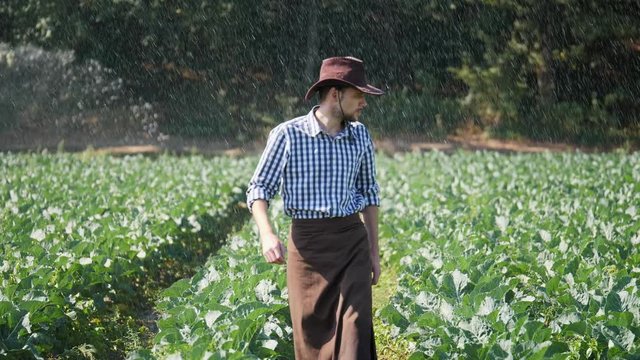 Farmer going on his plantation during working of water sprinkler system