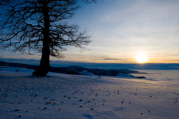 Sonnenuntergang im verschneiten Schwarzwald