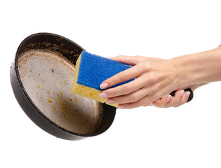 Old dirty fat pan clean sponge in hand. Isolation on a white background.