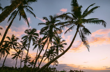 Vanilla sky sunset over the  tropical beach in Sri Lanka