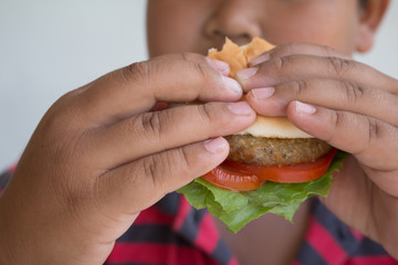 Asian boy's eating a hamburger, junk food unhealthy for children