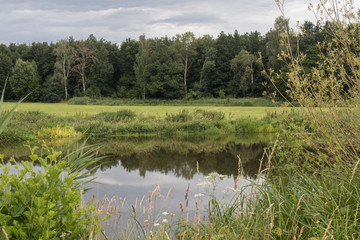 The river Naab in bavaria