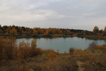 autumn landscape with lake and trees