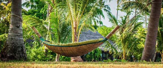 Hammock between two palm trees at tropical exotic beach background