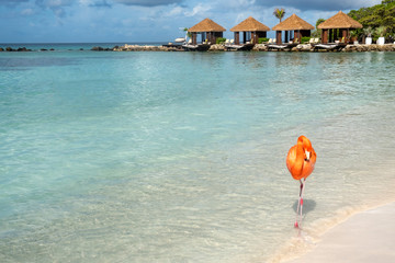 Wild Pink Flamingo on a Caribbean Beach With Cabanas in the Background