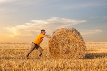 A man pushing a straw bale at sunset