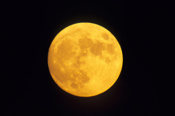 Amber Moon - 琥珀色の月