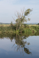 The river Naab