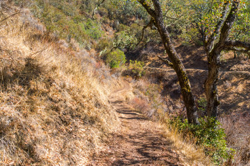 Hiking trail in Palo Alto Foothills Park, San Francisco bay area, California