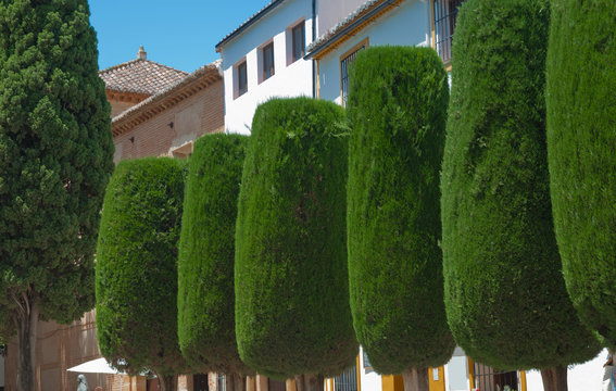 Plaza Duquesa de Parcent, Ronda, Andalusien, Spanien