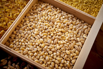 closeup of barley groats in a wooden, square box