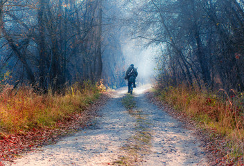 A man riding a bicycle on a forest autumn road to meet the rays of the sun and the fog