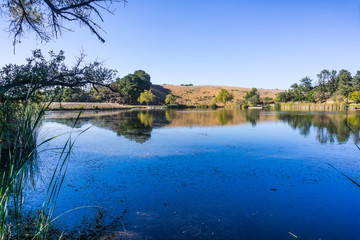 Boronda Lake in Palo Alto Foothills Park, San Francisco bay area, California