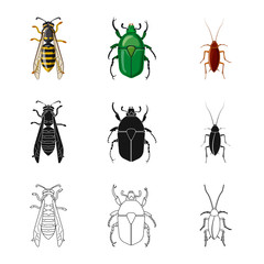 Vector design of insect and fly sign. Collection of insect and element vector icon for stock.