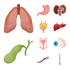 Vector design of body and human sign. Set of body and medical vector icon for stock.