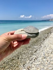 hand with seashell on the beach