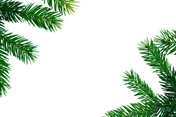 Fototapeta na wymiar New year copyspace background, green contiferous fir tree branches frame