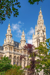 Fototapeta premium Ratusz w Wiedniu