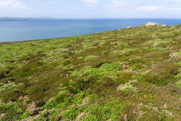 Pembrokeshire coast looking west towards Abercastle near Trefasser, Pencaer, Wales, UK