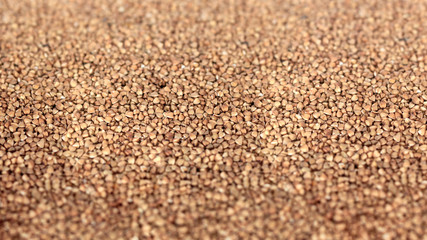 Buckwheat texture. Textures from raw buckwheat grains. Healthy food. Top view. Selective focus in the center
