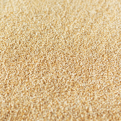 Background of amaranth, amaranthus seeds healthy food background, wallpaper, texture. Selective focus in the center