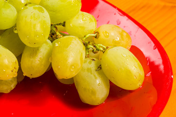 large brush of green grapes in a red ceramic plate on a wooden background