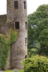 Wachturm