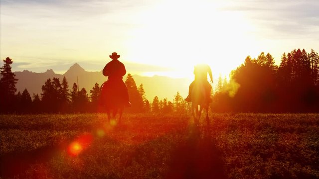 Silhouette of Cowboy Riders forest wilderness area Canada