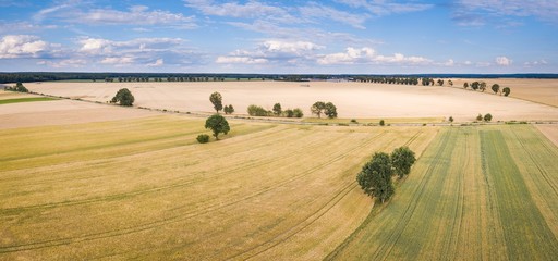Obraz premium Beautiful summer fields from above